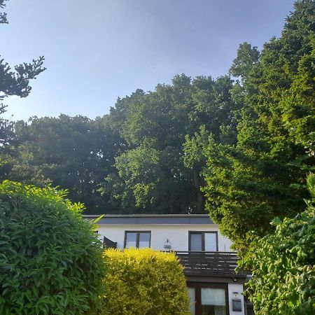 Apartment Am Waldrand 1 Person ,Gemuetlich, Nichtraucher 이체호에 외부 사진